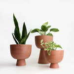 Charger l'image dans la galerie, Cache-pot Alex 6"