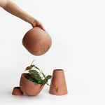 Charger l'image dans la galerie, Cache-pot Guillaume 6"