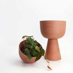 Charger l'image dans la galerie, Cache-pot Guillaume 6"