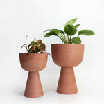 Charger l'image dans la galerie, Cache-pot Guillaume 6"