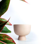 Charger l'image dans la galerie, Cache-pot Alex 4"