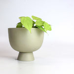 Charger l'image dans la galerie, Cache-pot Alex 4"