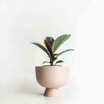 Charger l'image dans la galerie, Cache-pot Alex 4"