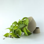 Charger l'image dans la galerie, Cache-pot Alex 6"