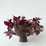 Charger l'image dans la galerie, Cache-pot Alex 6"
