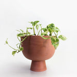 Charger l'image dans la galerie, Cache-pot Alex 6"
