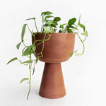 Charger l'image dans la galerie, Cache-pot Guillaume 6"