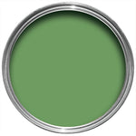 Charger l&#39;image dans la galerie, Raw Tomatillo No CB6 | Farrow &amp; Ball
